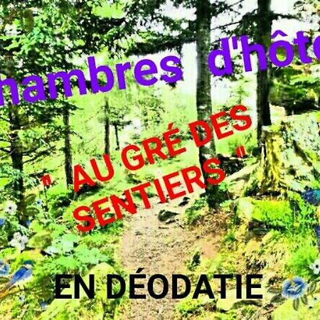 Au Gre Des Sentiers Chez Marie Et Pierre Bed & Breakfast Saint-Die-des-Vosges Luaran gambar