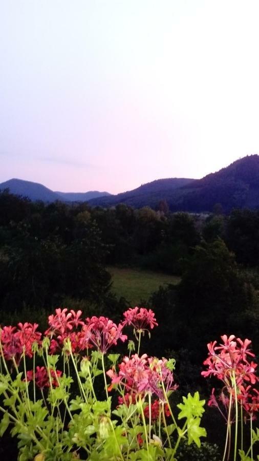 Au Gre Des Sentiers Chez Marie Et Pierre Bed & Breakfast Saint-Die-des-Vosges Luaran gambar