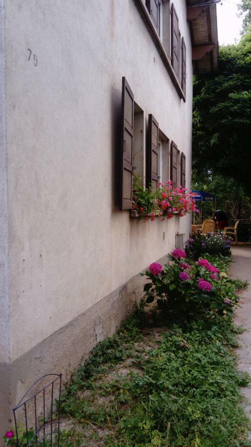 Au Gre Des Sentiers Chez Marie Et Pierre Bed & Breakfast Saint-Die-des-Vosges Luaran gambar