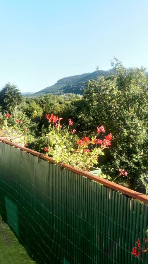 Au Gre Des Sentiers Chez Marie Et Pierre Bed & Breakfast Saint-Die-des-Vosges Luaran gambar