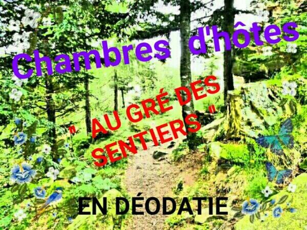 Au Gre Des Sentiers Chez Marie Et Pierre Bed & Breakfast Saint-Die-des-Vosges Luaran gambar