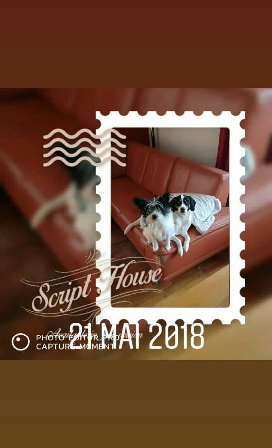 Au Gre Des Sentiers Chez Marie Et Pierre Bed & Breakfast Saint-Die-des-Vosges Luaran gambar