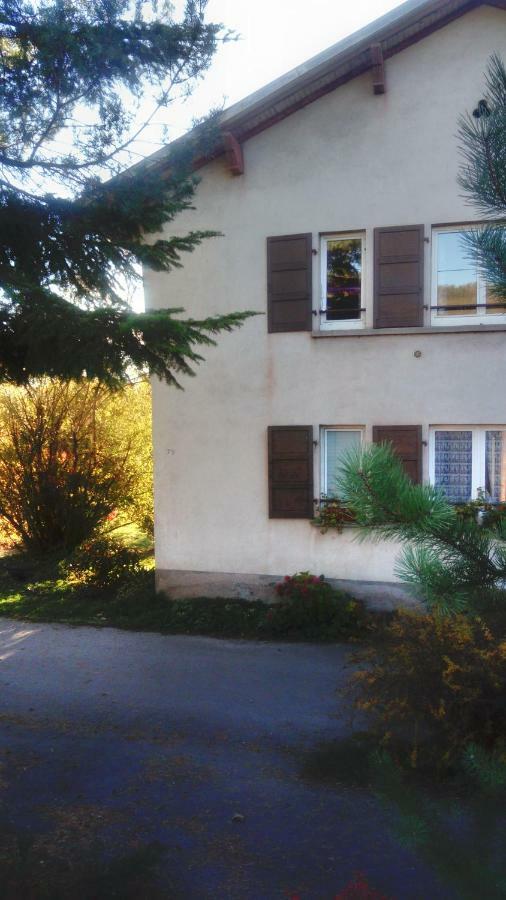 Au Gre Des Sentiers Chez Marie Et Pierre Bed & Breakfast Saint-Die-des-Vosges Luaran gambar